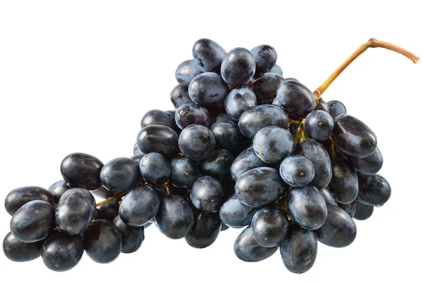 白色背景上的一串成熟的蓝色葡萄 — 图库照片