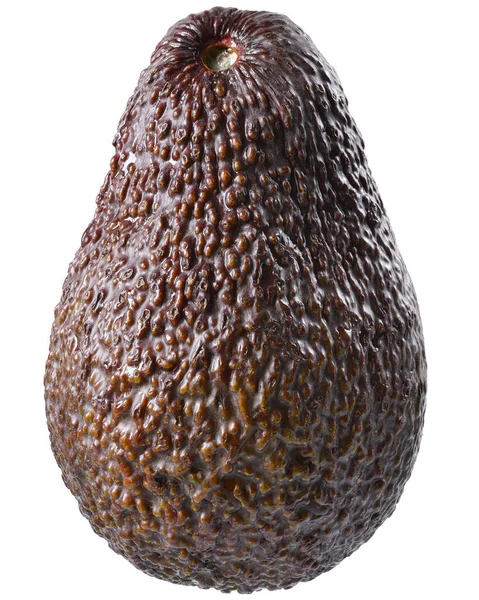 Volle Avocado Großaufnahme Isoliert Auf Weißem Hintergrund — Stockfoto