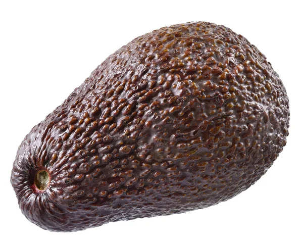 Volledige Avocado Close Geïsoleerd Een Witte Achtergrond — Stockfoto