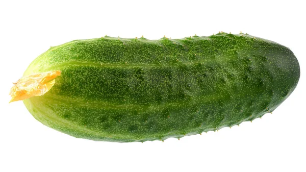 Verse Komkommer Geïsoleerd Een Witte Achtergrond — Stockfoto
