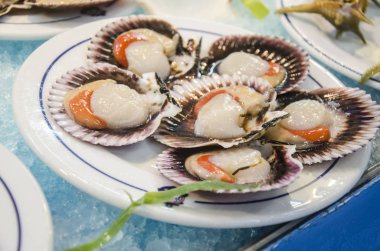 Mariscos Frescos, conchas, comida 