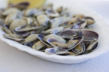 Mutfak yemeği kalamar deniz ürünleri mutfağı aşçı İspanya Akdeniz plajı 