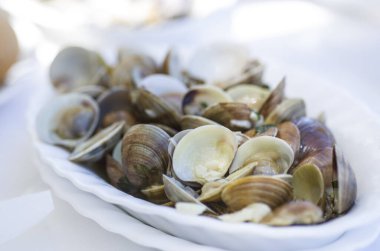 Deniz ürünleri midye deniz diyeti İspanya kithen tabağı 