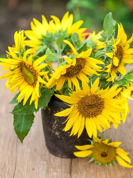 Bouquet Sunflowers Vase Placed Garden — Stock Photo, Image