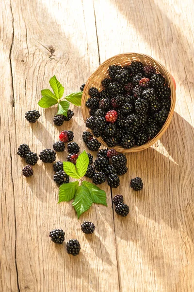 Blackberries Bowl Wooden Rustic Table Natural Berries — Stock Photo, Image