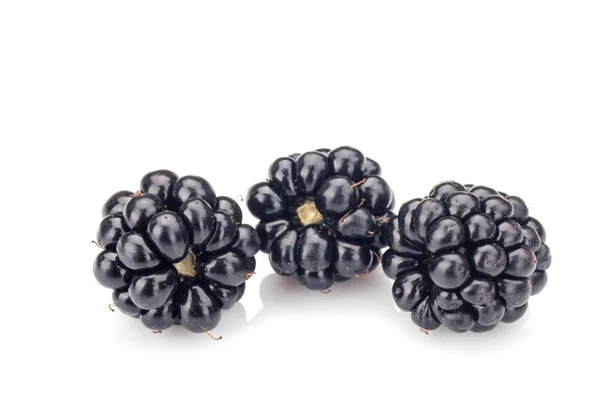 Blackberries Isolated White Background — Stock Photo, Image