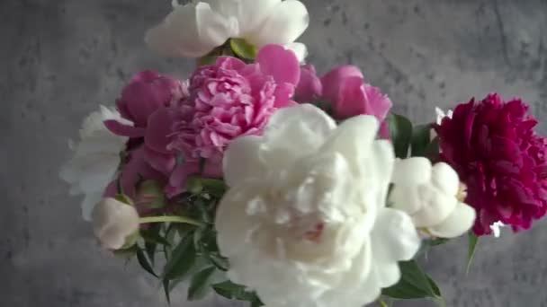 Bouquet Von Farbigen Pfingstrosen Der Vase Frische Garten Pfingstrosen — Stockvideo