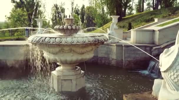 Belle Fontaine Dans Parc Ville Architecture Baroque — Video