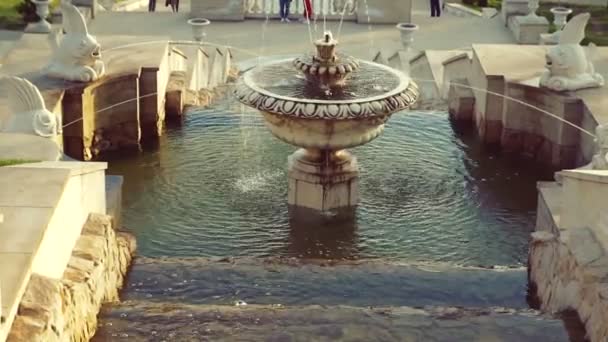 Schöner Brunnen Stadtpark Barocke Architektur — Stockvideo