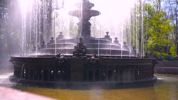 Belle Fontaine Dans Parc Ville Architecture Baroque — Video