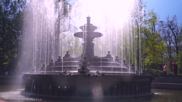Belle Fontaine Dans Parc Ville Architecture Baroque — Video