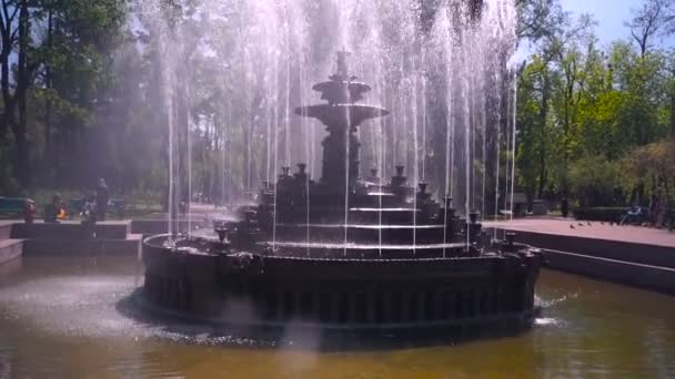 Belle Fontaine Dans Parc Ville Architecture Baroque — Video