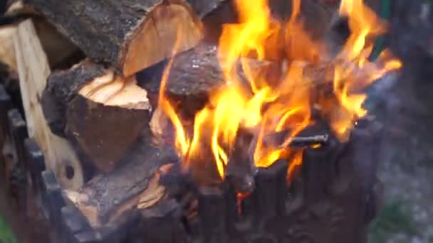 Madeira Queimando Uma Grade Ferro Fundido — Vídeo de Stock