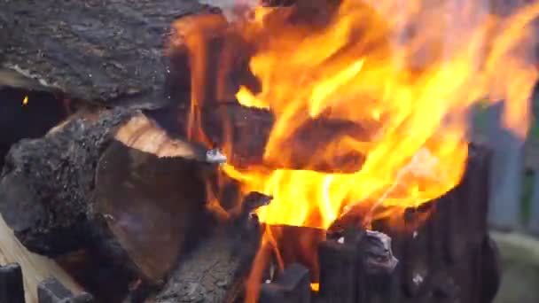 Спалювання Деревини Чавунному Грилі — стокове відео