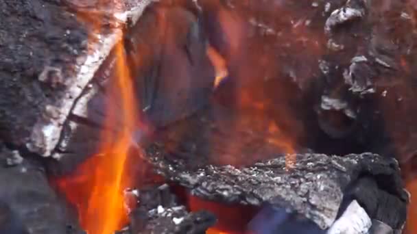 Madera Ardiendo Una Parrilla Hierro Fundido — Vídeos de Stock