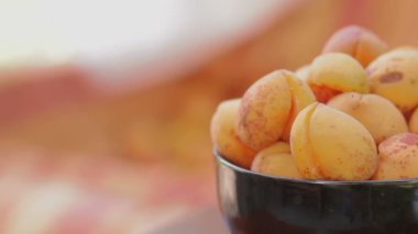 Kayısı seramik kase