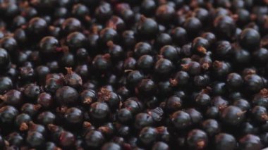 Blackurrants kabın içinde. Tatlı çilek.