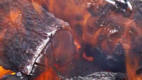 铸铁烤架中的木材燃烧 — 图库视频影像