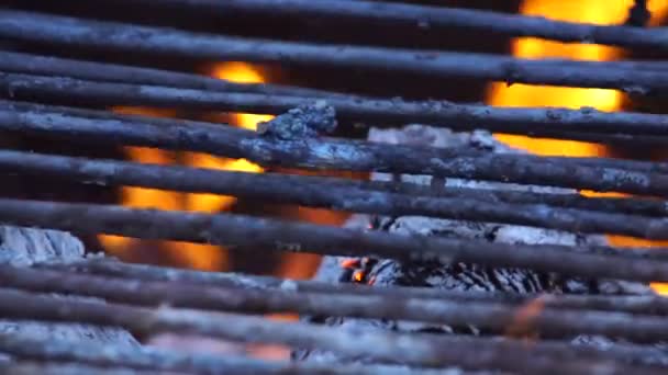 Preparando Grelha Para Churrasco — Vídeo de Stock