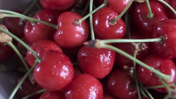 Fresh Ripe Juicy Cherries Rotate Background — Stock Video
