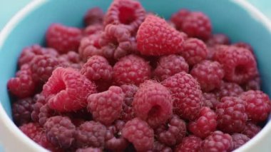 Raspberies Bahçe dalında üzerinde. Doğal Çilek