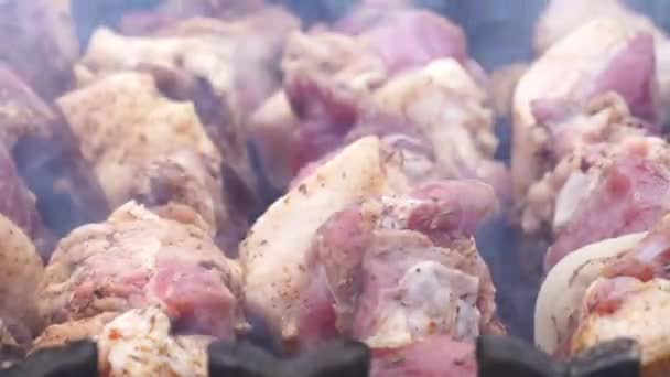 Barbecue Meat Grilling Charcoal Tasty Grilled Meat Closeup — Stock Video