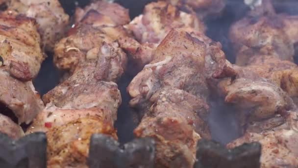 Barbecue Meat Grilling Charcoal Tasty Grilled Meat Closeup — Stock Video