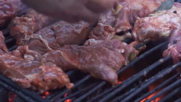 金属製の串に刺した料理シシカバブ 地殻ロースト肉 バーベキュー グリルで調理のシャシリク — ストック動画