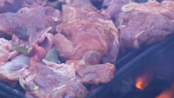 Barbecue Meat Grilling Charcoal Tasty Grilled Meat Closeup — Stock Video