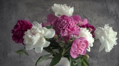 Cam vazo içinde sunulan renkli şakayık buket. Taze bahçe peonies.
