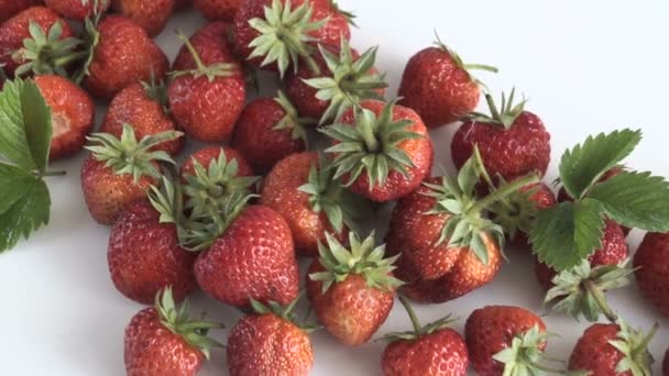 Gruppe Frischer Erdbeeren Auf Weißem Hintergrund Kugelstoßer — Stockvideo