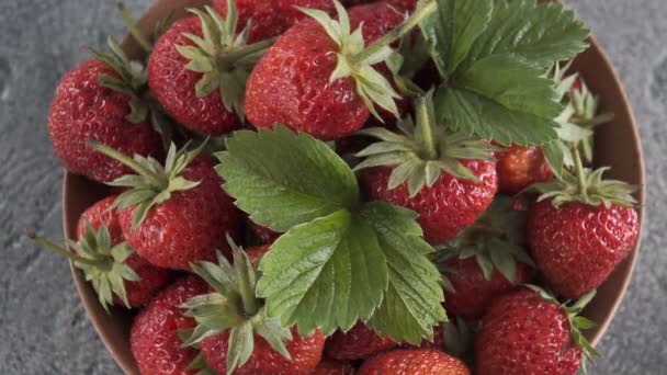 Frische Erdbeeren Einer Schüssel Auf Blauem Hintergrund Kugelstoßer — Stockvideo