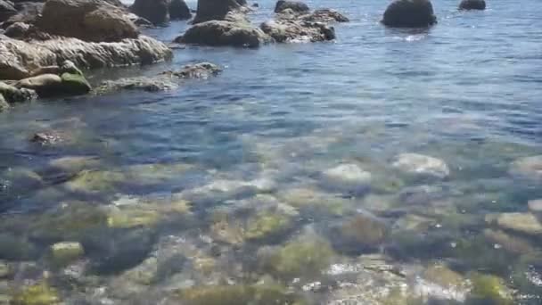 Balvany Břehu Moře Obmyti Čisté Vlny Slunečného Dne — Stock video
