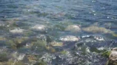 Güneşli bir günde temiz dalgalar tarafından yıkanmış deniz kıyısında kayalar