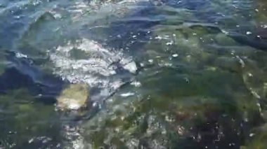 Güneşli bir günde temiz dalgalar tarafından yıkanmış deniz kıyısında kayalar