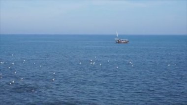 Yaz saati turizm motorlu tekne yolculuğu Beach görünümü Karadeniz, Romanya