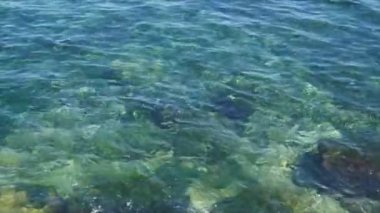 Güneşli bir günde temiz dalgalar tarafından yıkanmış deniz kıyısında kayalar