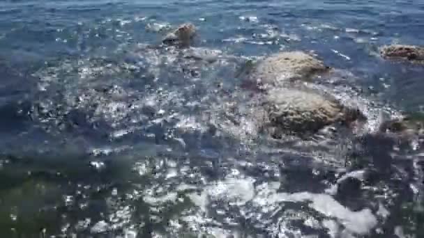 Rocas Orilla Del Mar Bañadas Por Olas Limpias Día Soleado — Vídeos de Stock