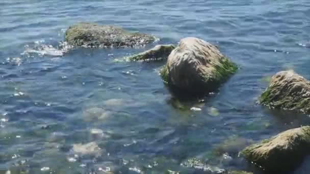 Boulders Sea Shore Washed Clean Waves Sunny Day — Stock Video