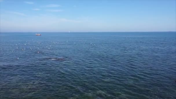 Svarta Havet Horisonten — Stockvideo