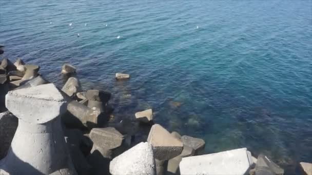 大きな波が海岸をつぶすことを防止するための防波堤工事として作られた大きな石のコンクリート デザイン — ストック動画