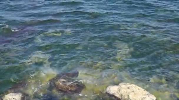 Felsbrocken Meeresufer Die Einem Sonnigen Tag Von Sauberen Wellen Angespült — Stockvideo