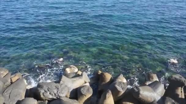 Diseños Hormigón Fundido Grandes Piedras Hechas Como Construcciones Rompeolas Para — Vídeo de stock