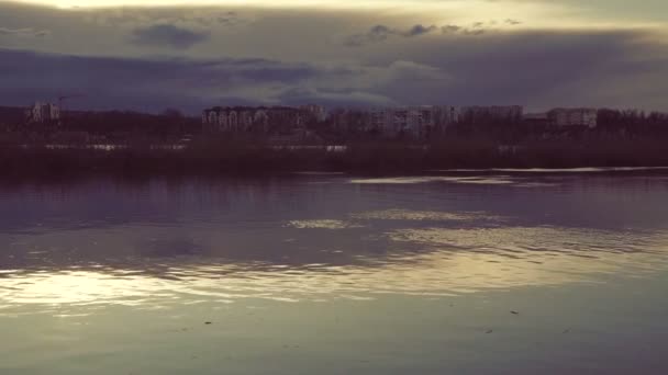 日落时湖景 夕阳下湖岸边的芦苇 — 图库视频影像
