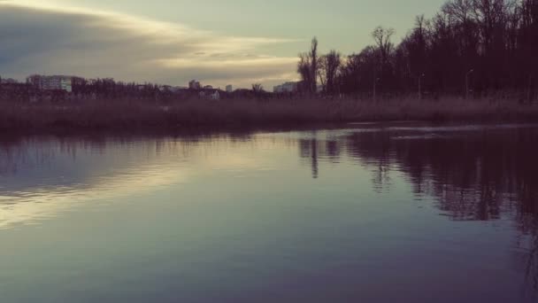 Seenlandschaft Bei Sonnenuntergang Schilf Ufer Des Sees Bei Sonnenuntergang — Stockvideo