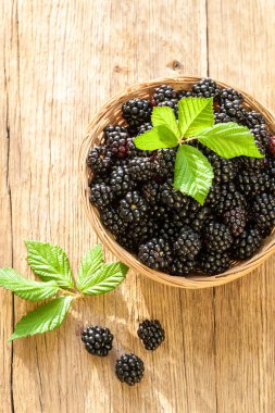 Böğürtlen kase ahşap rustik masa üzerinde. Doğal çilek.