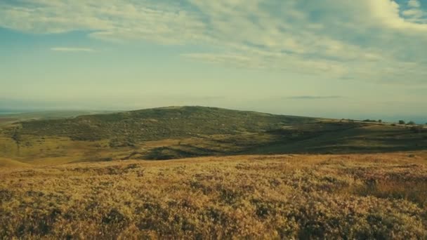 緑の草原 曇り空 春の風景 — ストック動画