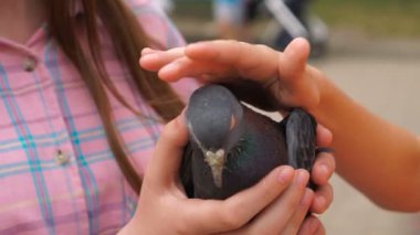 Güzel, iki kız bir dov holding.