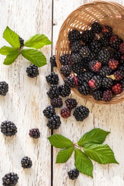 Böğürtlen kase ahşap rustik masa üzerinde. Doğal çilek.