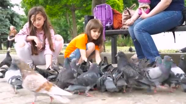 Twee Kleine Meisjes Zusters Feed Duiven Het Park Kinderen Buiten — Stockvideo